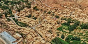 <?php the_title(); ?>