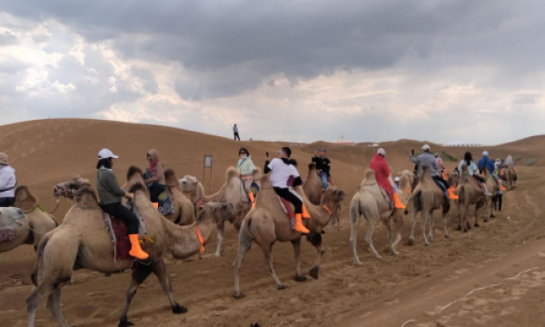 幸福世家旅行社：贴心服务+安全保障，打造完美旅行体验